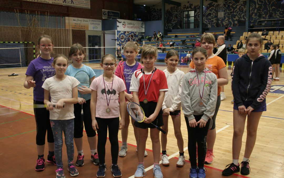 Badminton – področno tekmovanje